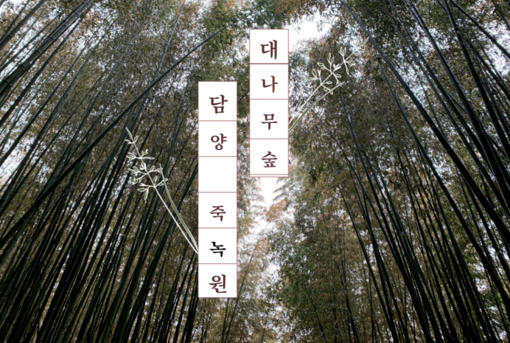  담양 대나무숲 '죽녹원' 방문기