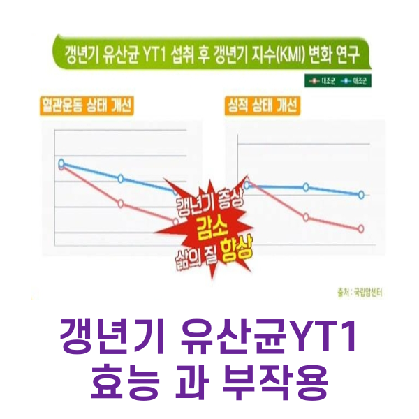 갱년기 유산균YT1 효능 과 부작용 알고 드세요!