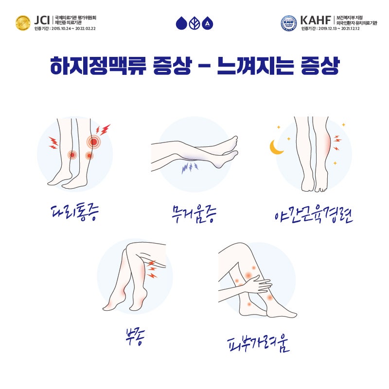 하지정맥류 원인 과거와 다른 부분은 명의와 함께 알아보세요! 8
