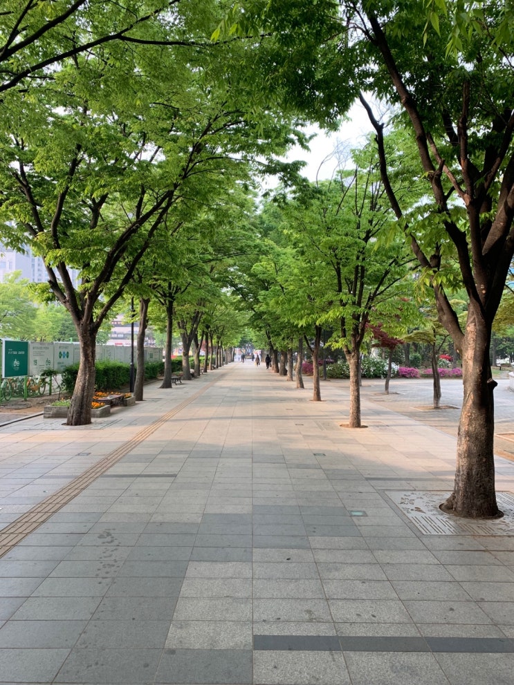  덕양구 일산 산책 코스