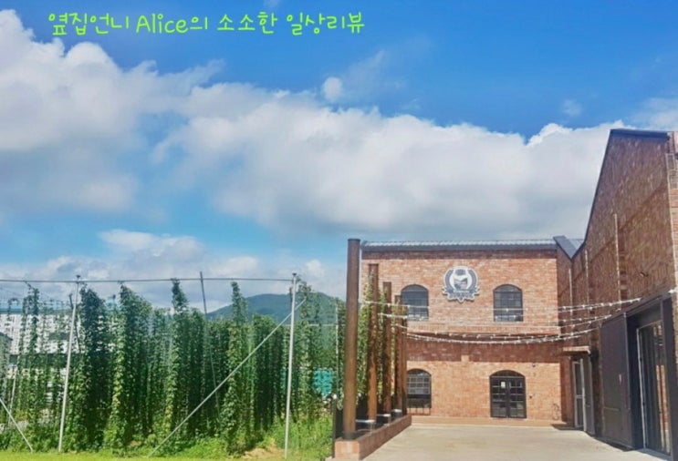 [앞광고 예고편] 울산 수제맥주 양조장 - 트레비어 -