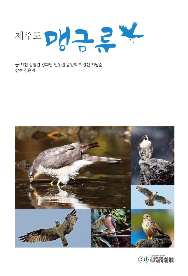  제주도 맹금류