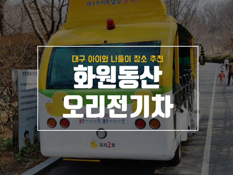  대구 아이와 가볼만한곳 화원동산 오리전기차 후기