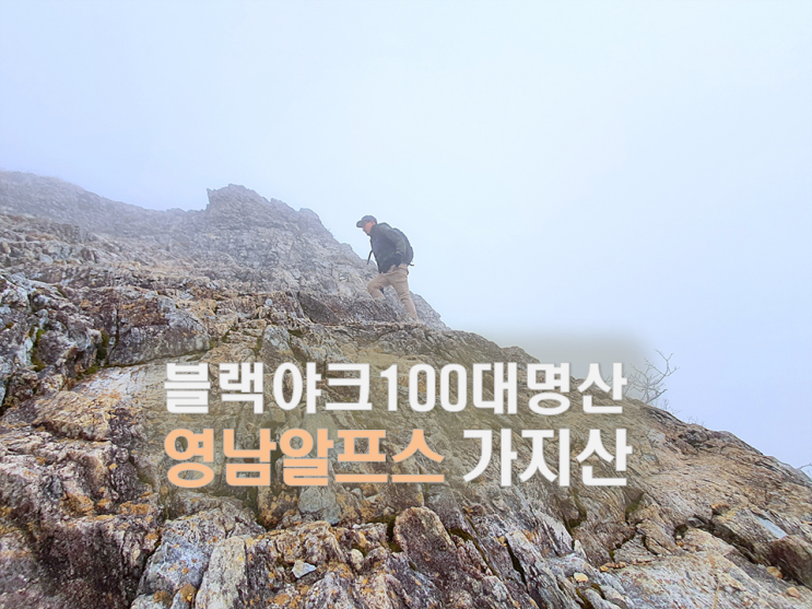  가지산 등산 석남터널 최단코스/영남알프스 인증/영알 최고봉/블랙야크100대명산