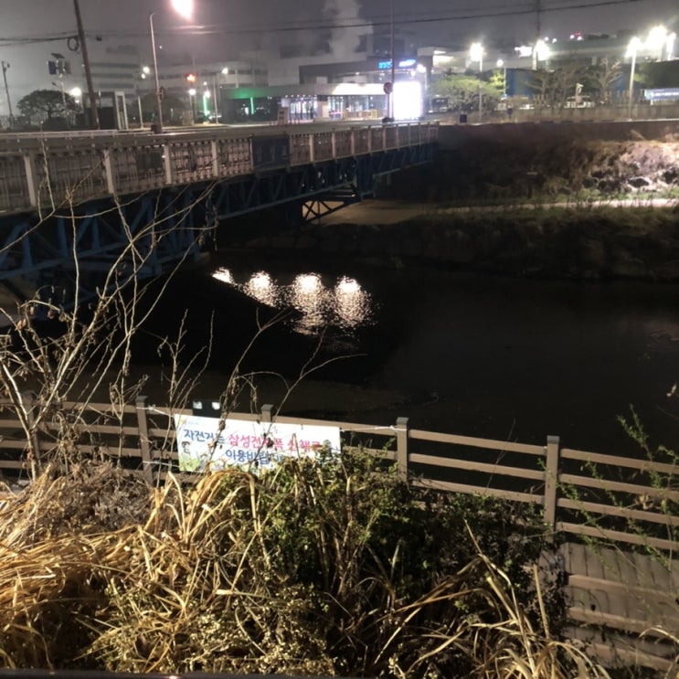  [공부블로그 D+7] 꾸준함의 결과, 우울한 세상