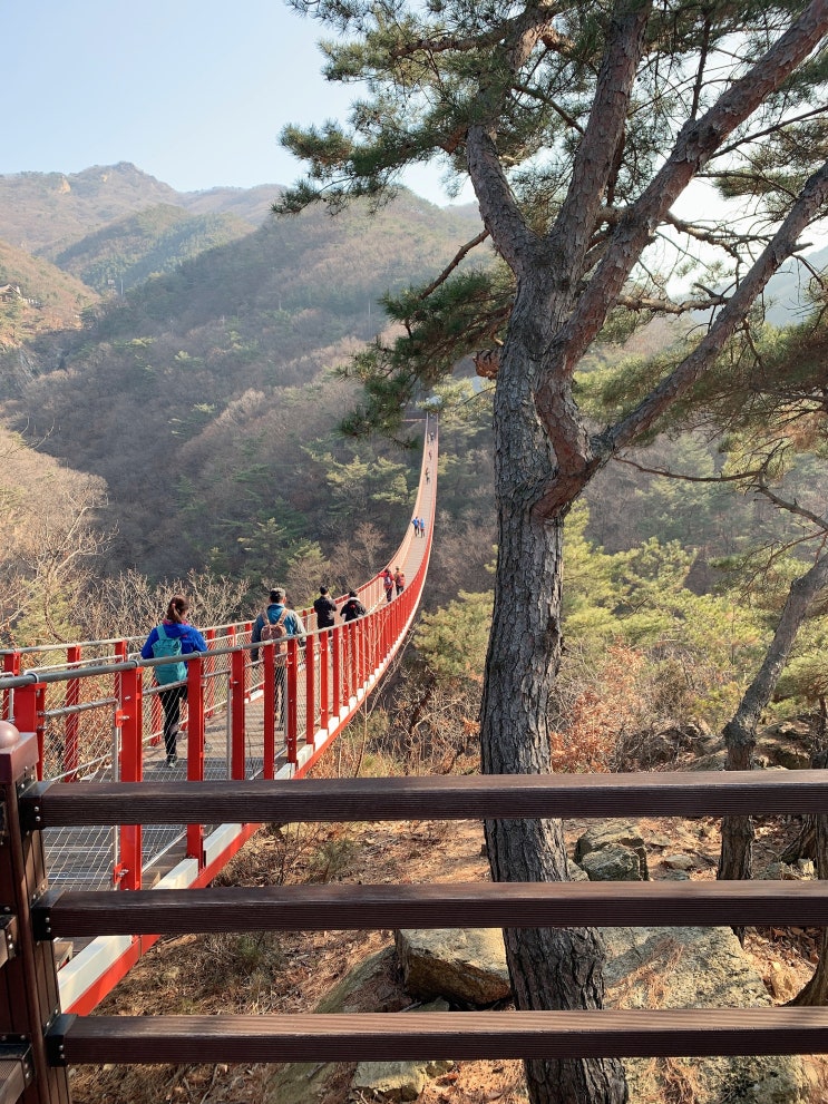  [파주 여행] 너무나 힐링 되었던 파주여행-두번째 (감악산 출렁다리,반구정나루터 장어집,아티장베이커스,신간짬뽕,야외스파숙소)