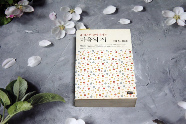 김소월 시 「진달래꽃」 「초혼」 「가는 길」 「산유화」 감상