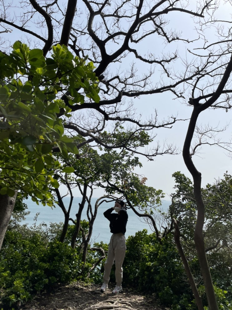  부산 송도 용궁구름다리 구경ㅣ송도 암남공원 둘렛길 걷기