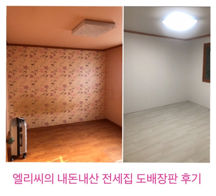  전셋집(전세집) 자취생의 저렴한 도배장판 내돈내산 꿀팁과 후기