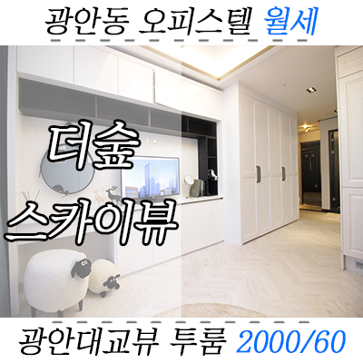 광안동 더숲스카이뷰 오피스텔 투룸 월세 : 금련산역 + 광안대교조망 광안동 더숲스카이뷰 오피스텔 투룸 월세 : 금련산역 + 광안대교조망