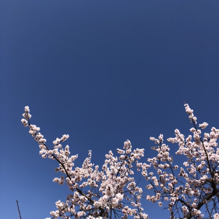  [공부블로그 D+8] 아무도 인정해주지 않더라도.