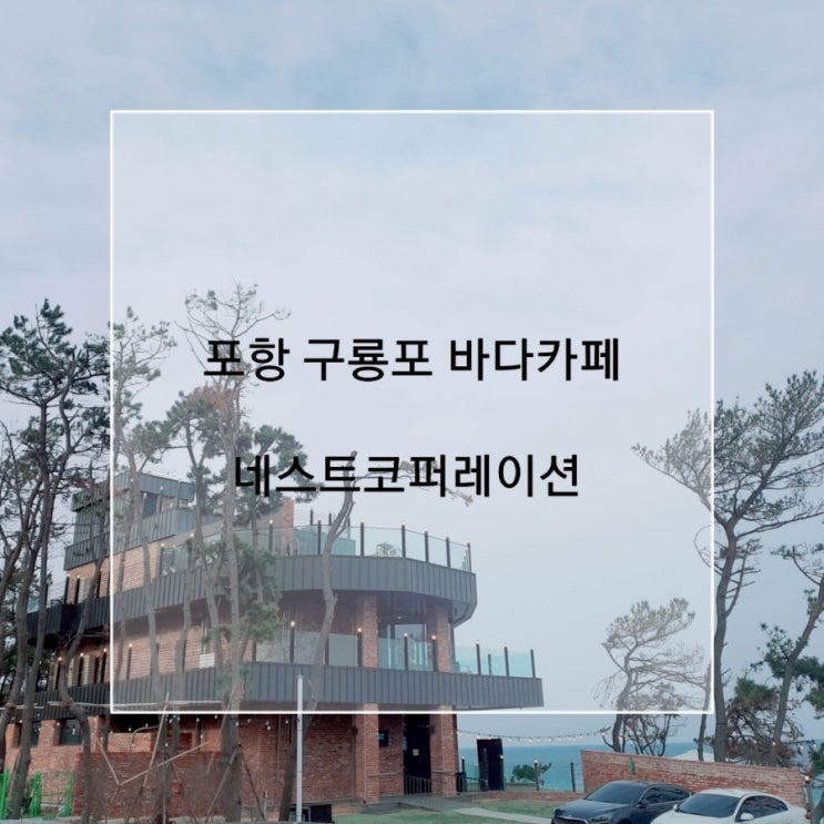  포항 구룡포 바다 카페 네스트코퍼레이션 바다뷰  예쁜카페