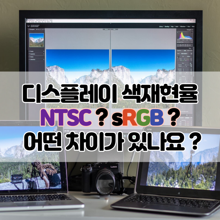  NTSC 45% 72%? sRGB? 모니터 색감 차이