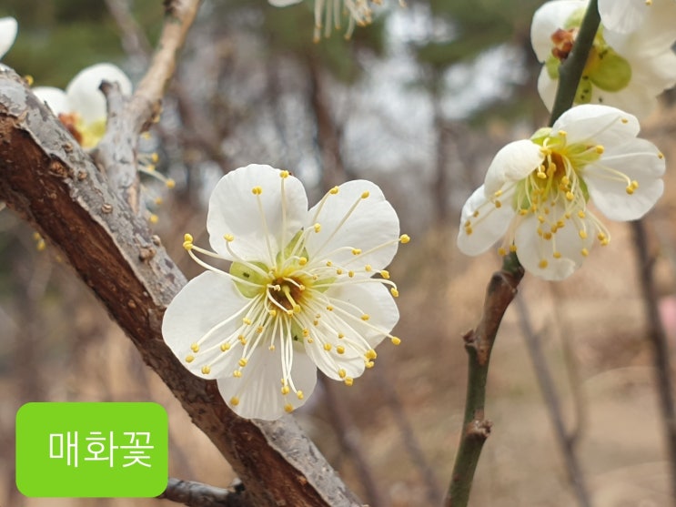  수학을 좋아하는 아이로 키우려면...