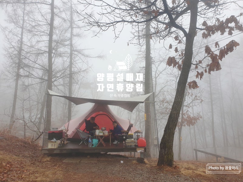 네이버 인플루언서 [네이버 인플루언서] 참꽃마리의 양평설매재자연휴양림
