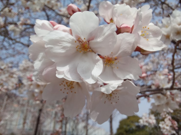  연지공원