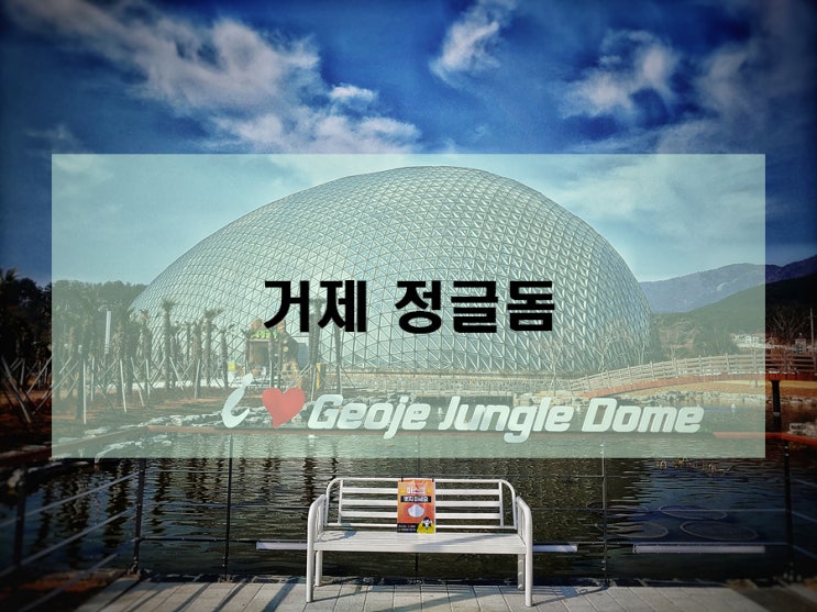  가족 사계절나들이 추천 실내 식물원 거제 정글돔