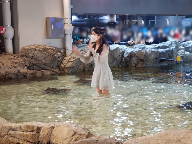 수원 이색 데이트 아이들이 너무 좋아하는 아쿠아리움 광교 물고기와 친구해요 수원 이색 데이트 아이들이 너무 좋아하는 아쿠아리움 광교 물고기와 친구해요