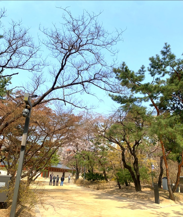 서울무료전시 미술이 문학을 만났을 때 덕수궁 벚꽃 무료입장
