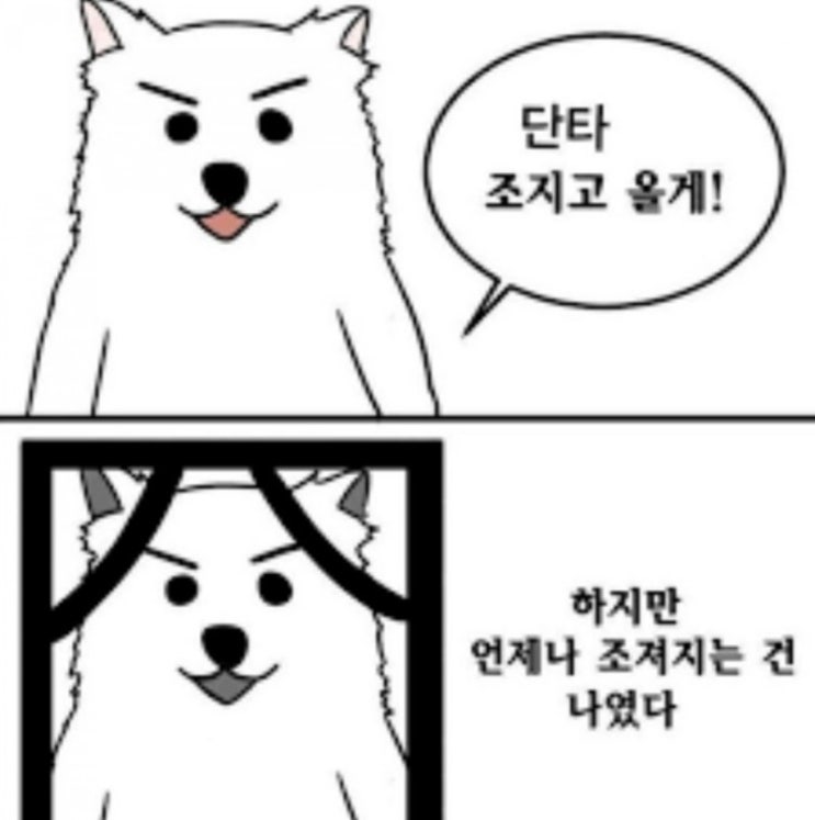  투자인가 투기인가, 고점 물리기 전문가 코인 입성기