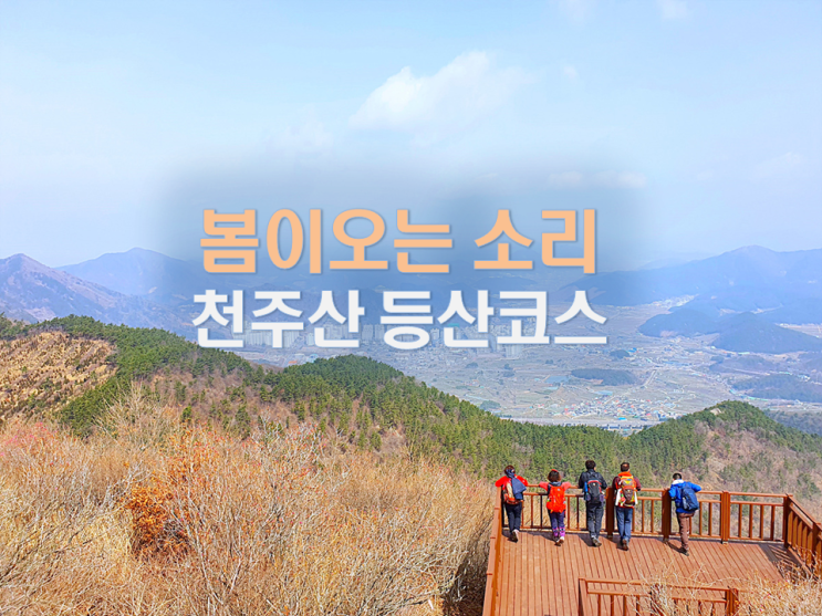  창원 천주산 진달래 등산 최단 코스/창원 등산 추천/봄이오는소리