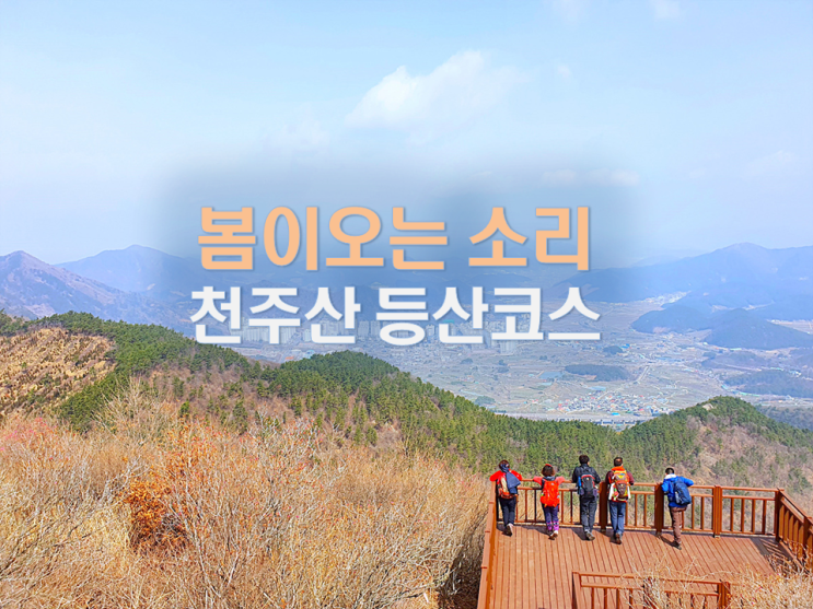 창원 천주산 진달래 등산 최단 코스/창원 등산 추천/봄이오는소리