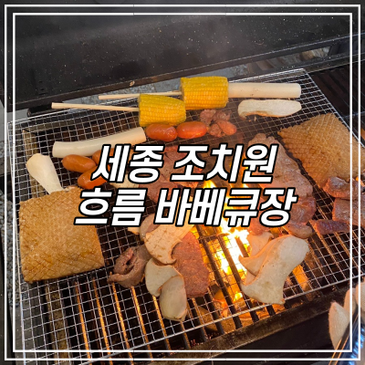  세종 조치원 흐름 바베큐 - 세종시 인근 야외 숯불 바베큐하기 좋은곳 / 준비물 보고가세요.