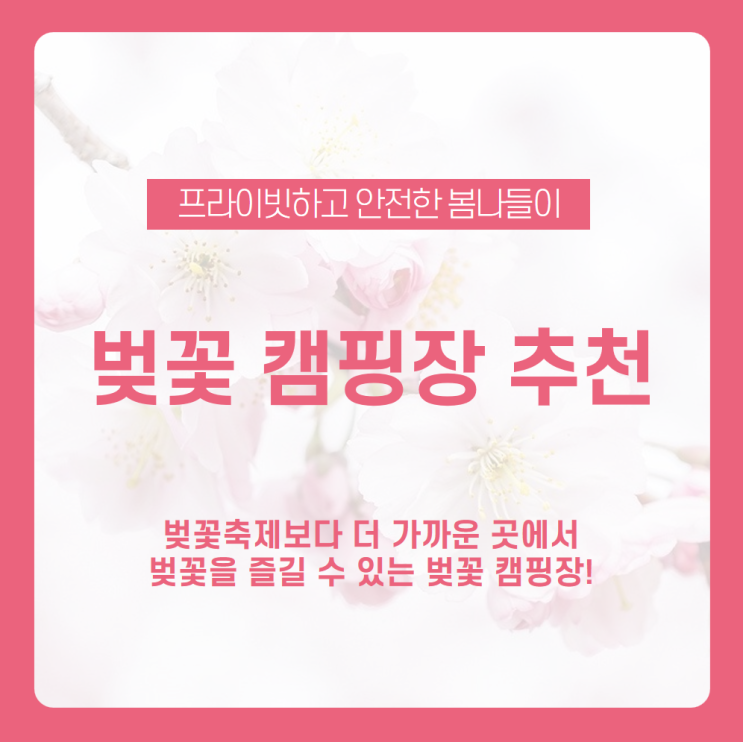  벚꽃과 함께하는 캠핑장 추천! 벚꽃과 캠핑을 동시에 즐길 수 있는 국내 봄 여행지 /문수골힐링캠핑장, 삼척엘림캠핑장, 천문대오토캠핑장, 비봉산캠핑장, 율곡관광농원오토캠핑장 /벚꽃캠