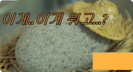  난 추천안함. 궁금해서 그냥 포스팅 해보는 애완돌 진짜있는가?
