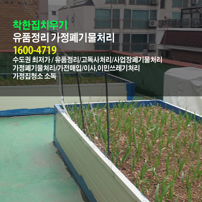  넓은 화단이 있는 옥탑방의 강동구 유품정리를 하면서 화단을 보고 마음이 답답합니다.