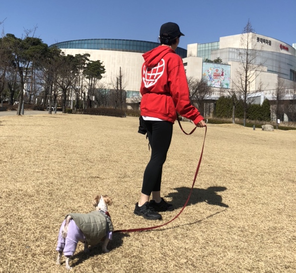 LMC 후드티 LMC HEART GLOBE HOODIE red 내돈내산