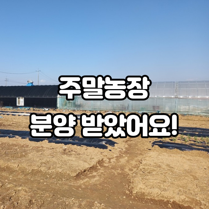  주말농장 분양받았어요! 농알못의 주말농장 이야기