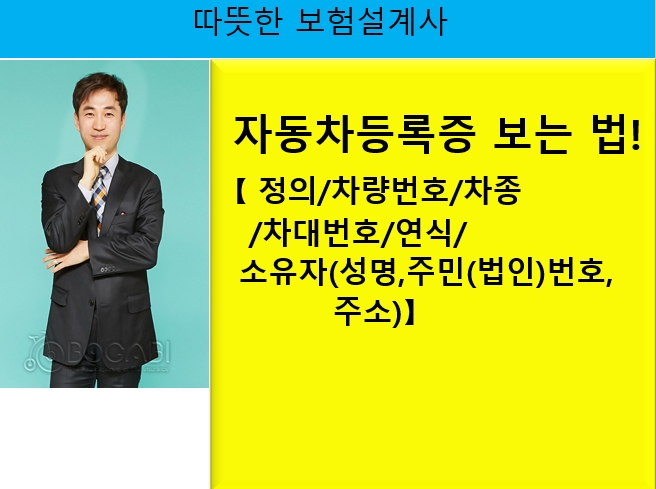  자동차등록증 보는 법! [정의/차량번호/차종/차대번호/연식/소유자인적사항]