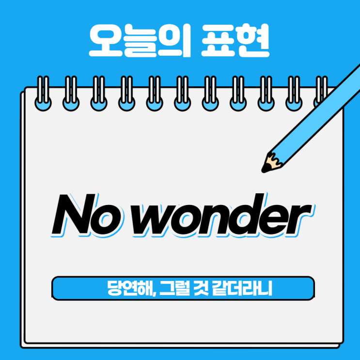  [오늘의 영어회화] 25. 당연해, No wonder