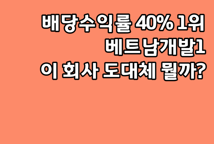  베트남 개발1 배당수익률 40%의 마법?