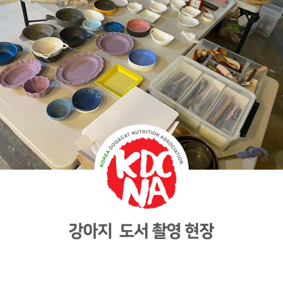  [한국반려동물영양협회/최수연펫푸드아카데미/수원/펫푸드자격증/인천/남양주/의정부/화성/평택/애견수제간식] 강아지 고양이 식재료도감 도서 촬영 현장_755