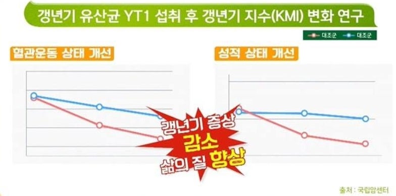 갱년기 여성에게 유산균 YT1의 권장 효능과 부작용을 알고 계신가요?