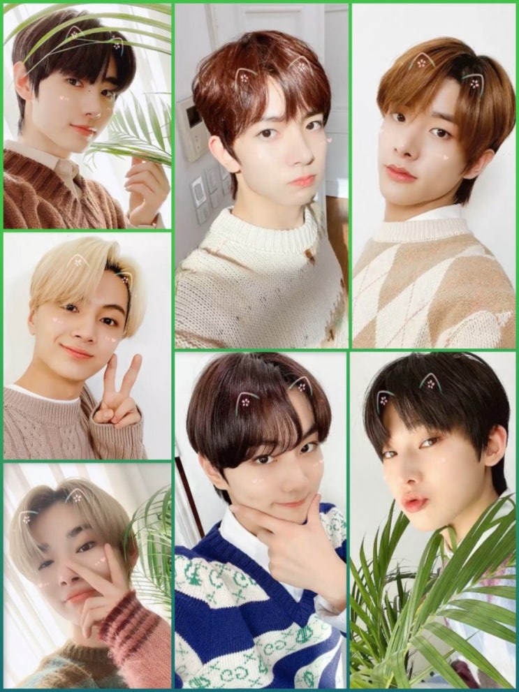 울 이픈이들 월요일마다 봐줘야 힘이 나거든요 이번주도 ENHYPEN 과 함께 푸릇 상큼 하게 보내세요·₊˚·₊˚