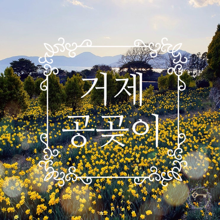  거제도 갈만한곳 거제 공곶이 수선화도 보고 바다도 보고