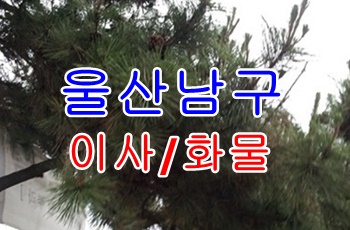 울산남구용달 삼산동 달동 신정동.