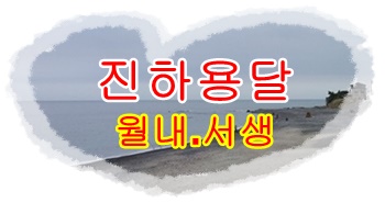 진하용달 용연 간절곶 월내. 진하용달 용연 간절곶 월내.