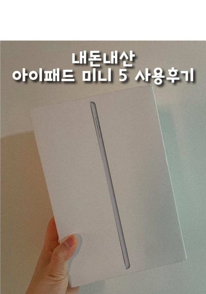 태블릿 입문자에게 제격인 Apple 아이패드 미니 5세대 지금 사도 늦지않았다