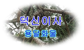 덕신용달 진하 월내.