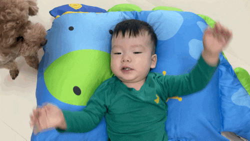  아기베개 밀로앤개비 경찰딜런 애착베개로 딱이에요