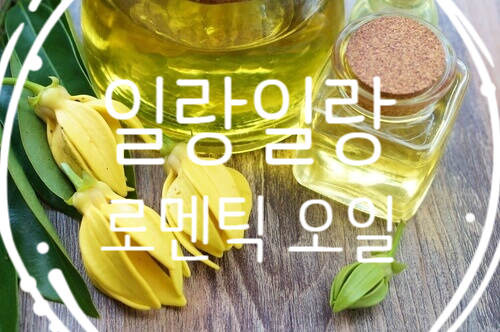  일랑일랑 오일 사용하기