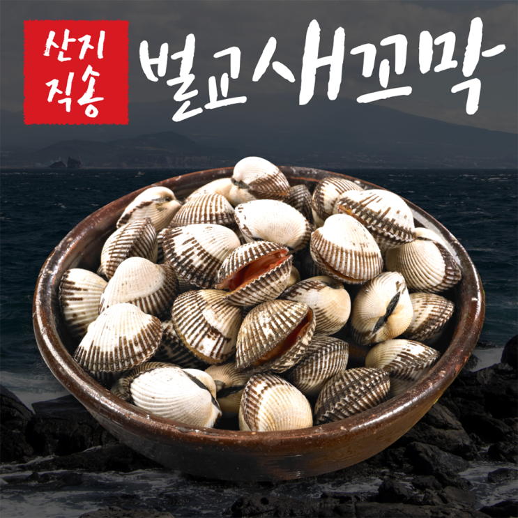 인지도 있는 제철 꼬막 벌교꼬막 새꼬막 벌교새꼬막 꼬막장 생꼬막 산지직송 1kg 2kg 3kg, 새꼬막 1kg 추천합니다