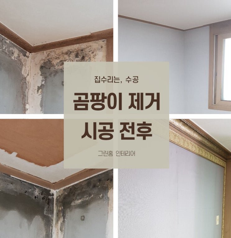  곰팡이 제거 후 도배시공 사례