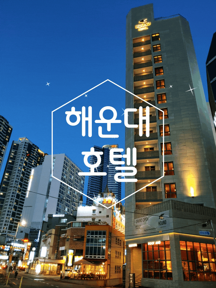해운대호텔 하운드 시그니처 루프탑 수영장을 보고 옴