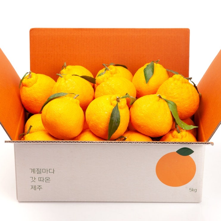 갓성비 좋은 깨비농원 고당도 한라봉 4.5kg, 1box, 한라봉 4.5kg 중과 ··· 갓성비 좋은 깨비농원 고당도 한라봉 4.5kg, 1box, 한라봉 4.5kg 중과 ···