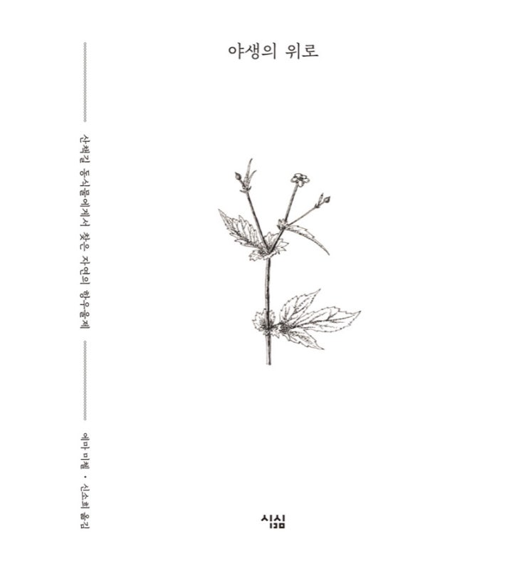  야생의 위로. '에마 미첼' 봄에 읽기 좋은 심리치료 베스트셀러도서